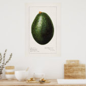  botanische illustratie poster (Keuken)