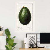  botanische illustratie poster (Thuiskantoor)