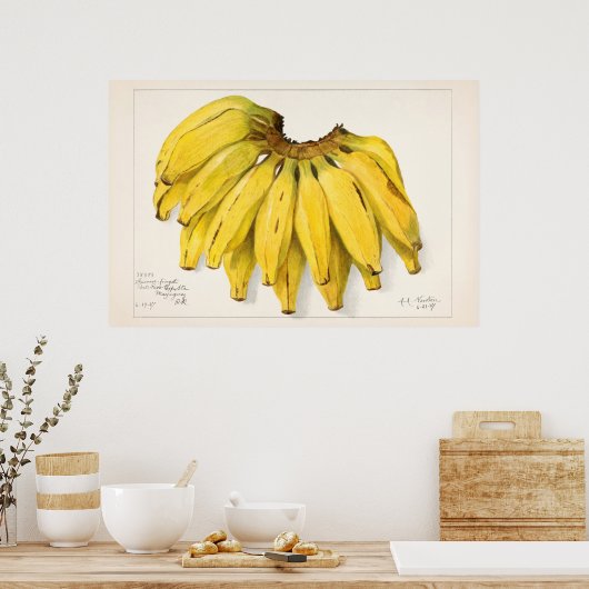  botanische illustratie poster (Keuken)