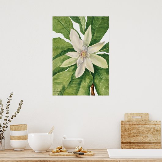  botanische illustratie poster (Keuken)