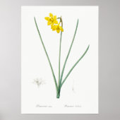 botanische illustratie poster (Voorkant)