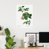  botanische illustratie poster (Thuiskantoor)