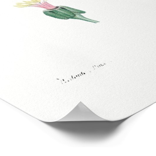  botanische illustratie poster (Hoek)