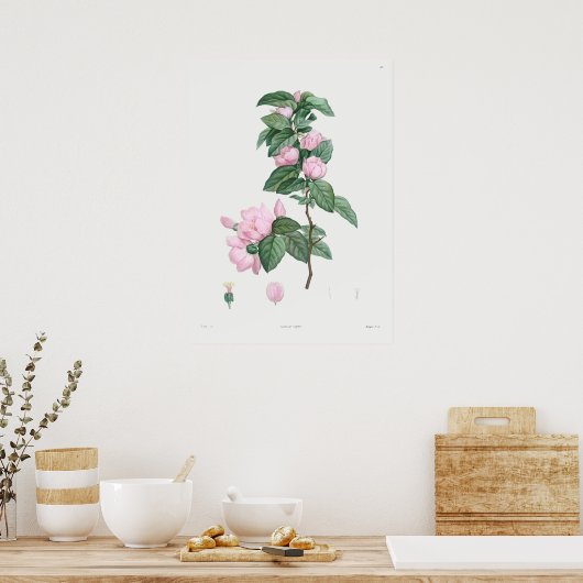  botanische illustratie poster (Keuken)