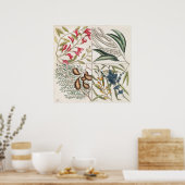 botanische illustratie poster (Keuken)