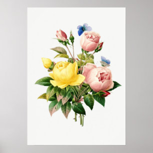 botanische illustratie poster