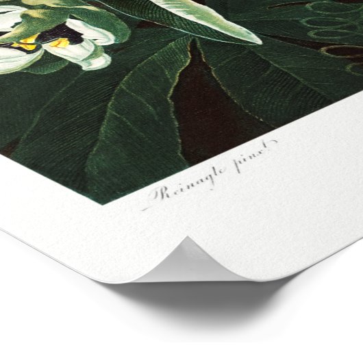  botanische illustratie poster (Hoek)