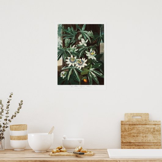  botanische illustratie poster (Keuken)