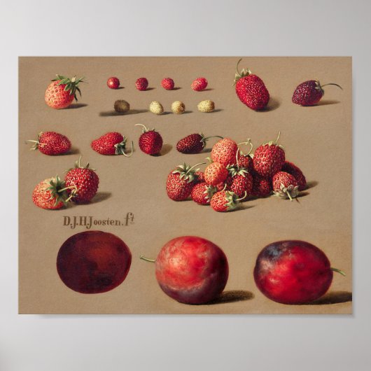 botanische illustratie poster (Voorkant)