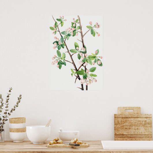 Botanische illustratie poster (Keuken)