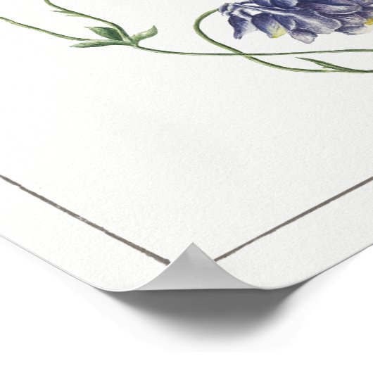  botanische illustratie poster (Hoek)