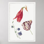  botanische illustratie poster (Voorkant)