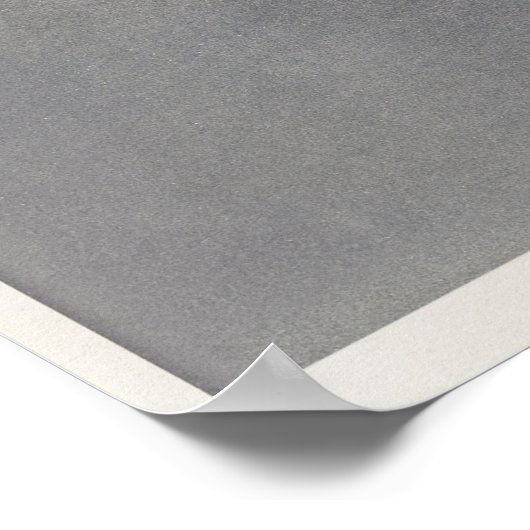  botanische illustratie poster (Hoek)