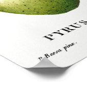  botanische illustratie poster (Hoek)