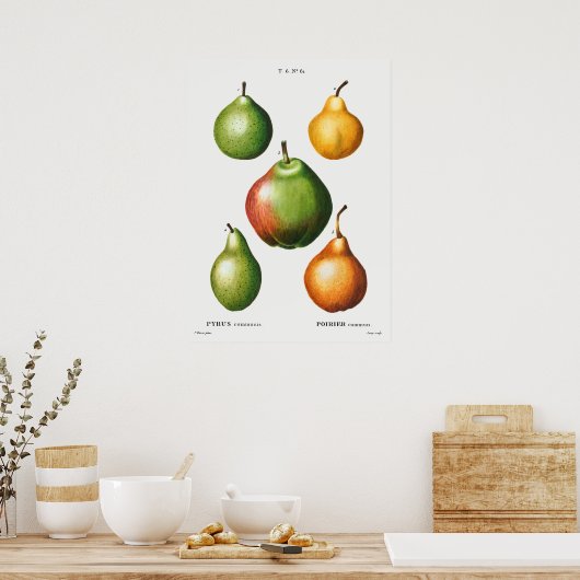 botanische illustratie poster (Keuken)