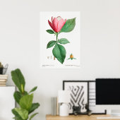  botanische illustratie poster (Thuiskantoor)