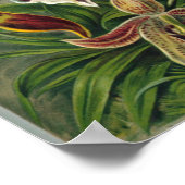  botanische illustratie poster (Hoek)