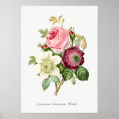  botanische illustratie poster (Voorkant)