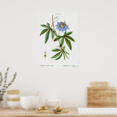  botanische illustratie poster (Keuken)