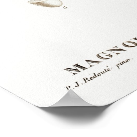  botanische illustratie poster (Hoek)