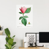  botanische illustratie poster (Thuiskantoor)