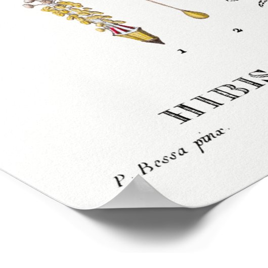 botanische illustratie poster (Hoek)