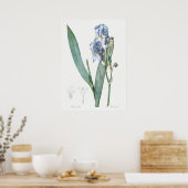  botanische illustratie poster (Keuken)