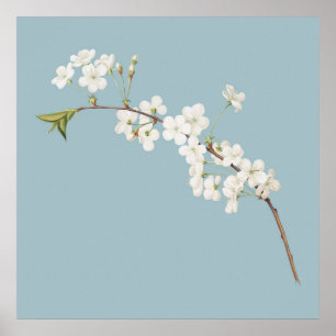 Botanische illustratie poster