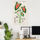 botanische illustratie poster (Thuiskantoor)