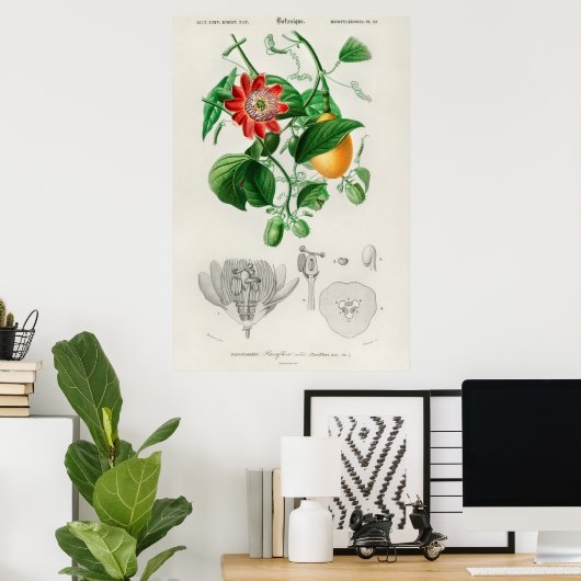  botanische illustratie poster (Thuiskantoor)