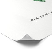  botanische illustratie poster (Hoek)