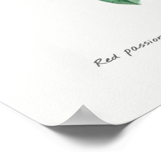  botanische illustratie poster (Hoek)