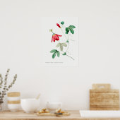  botanische illustratie poster (Keuken)