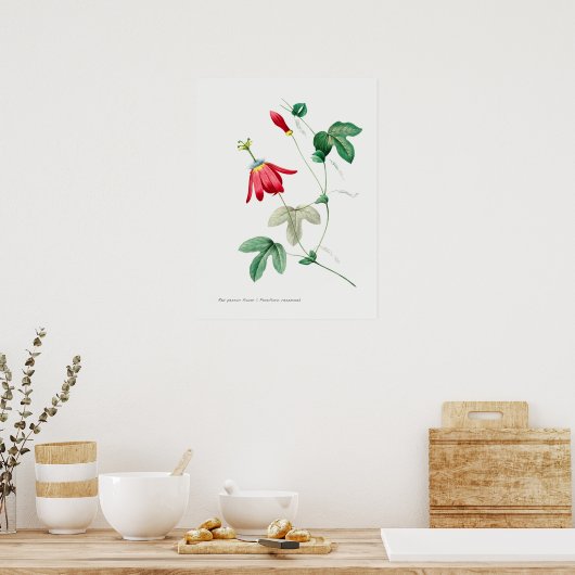  botanische illustratie poster (Keuken)