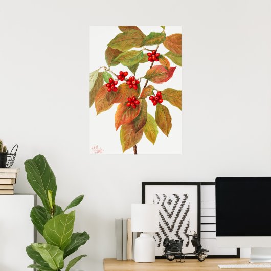  botanische illustratie poster (Thuiskantoor)