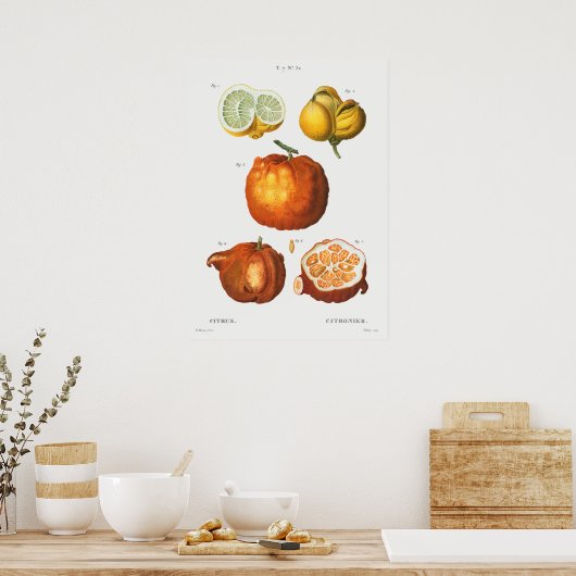  botanische illustratie poster (Keuken)