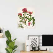  botanische illustratie poster (Thuiskantoor)