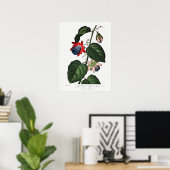  botanische illustratie poster (Thuiskantoor)