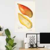  botanische illustratie poster (Thuiskantoor)