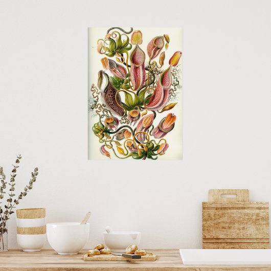 botanische illustratie poster (Keuken)