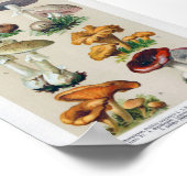  botanische illustratie poster (Hoek)