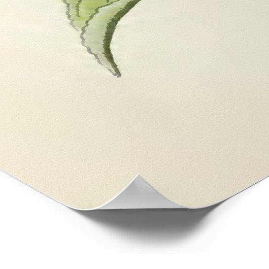  botanische illustratie poster (Hoek)