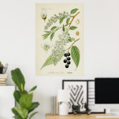 botanische illustratie poster (Thuiskantoor)