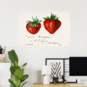  botanische illustratie poster (Thuiskantoor)