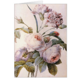  botanische illustratie, roze roze roze roos