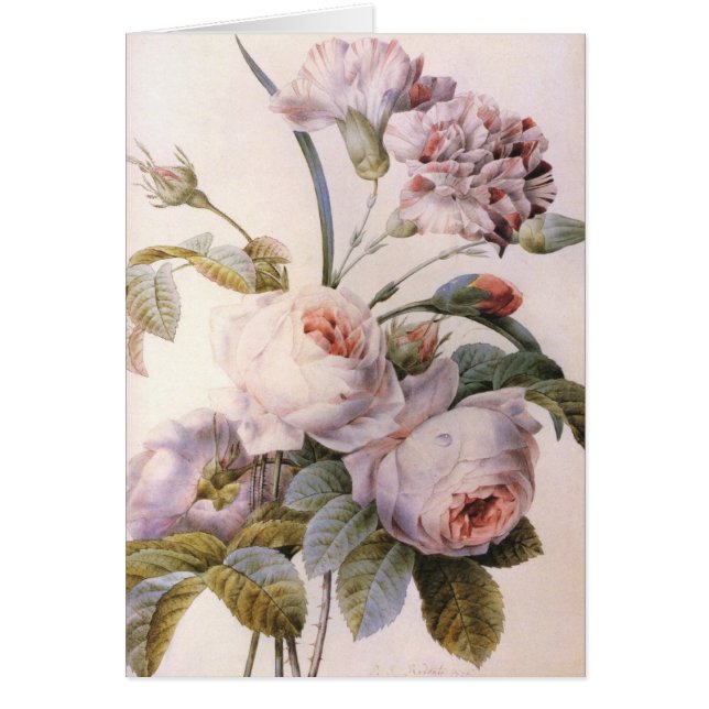  botanische illustratie, roze roze roze roos (Voorkant)