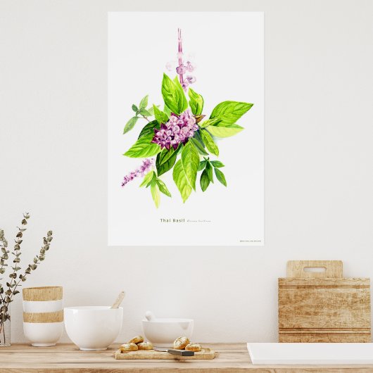 Botanische illustratie Thai Basil Poster (Keuken)