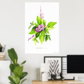 Botanische illustratie Thai Basil Poster (Thuiskantoor)