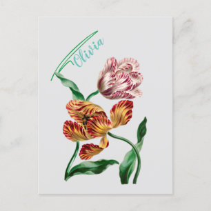 Botanische illustratie  Tulp Briefkaart