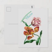 Botanische illustratie  Tulp Briefkaart (Voorkant / Achterkant)